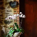 Bed and breakfast La Frapperie La Pommeraie-sur-Sèvre