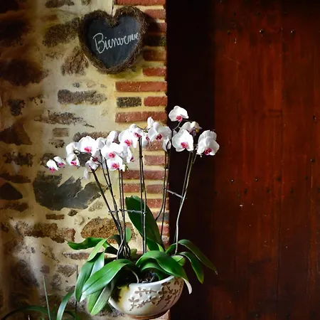 Bed and breakfast La Frapperie La Pommeraie-sur-Sèvre