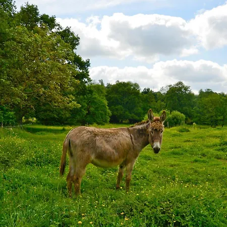 Panzió La Frapperie