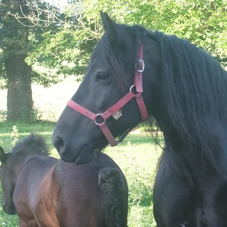 La Frapperie Bed & Breakfast 3*