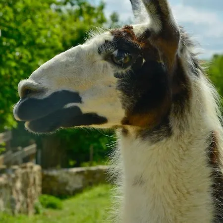 Bed & Breakfast La Frapperie 3*